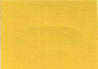2003 Volkswagen Double Yellow